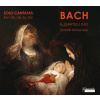 Johann Sebastian Bach - SOLO CANTATAS FOR BASS BWV 56,82,158,203 (CD) (Dominik Wörner, basse Ensemble Il Gardellino Ryo Terakado, direction)
