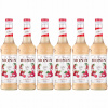 6x Barmanský sirup na nápoje MONIN Lychee LICZI Litchi 700 ml
