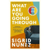 What Are You Going Through - Sigrid Nunez