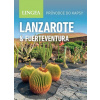 Lanzarote a Fuerteventura - Průvodce do kapsy - Lingea