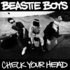2LP Beastie Boys: Check Your Head