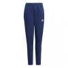Adidas Tiro21 Sweat Jr GK9675 pants (66076) 176cm