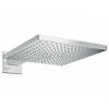 Hansgrohe Raindance 26239000
