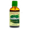 Bylinné kvapky Valeriána lekárska (valeriánske/kozlíkové) - tinktúra, 50 ml