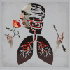 Hot Water Music - Vows [CD]