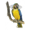 Ochranný plastový golier Bird Collar pre vtáky 10cm