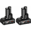 BOSCH - zahrada/dílna Bosch 2× GBA 12V 6,0 Ah Professional (1.600.A00.X7M)