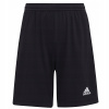 ADIDAS ENT22 SHO Y
