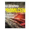 Promlčení - Březina Jiří