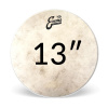Evans Calftone Priemer blany: 13