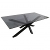 Xora KONFERENČNÝ STOLÍK, sivá, čierna, kov, sklo, 120/60/45 cm - Stolíky do obývačky - 002465000801