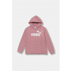 Detská mikina Puma ESS No. 1 Logo Hoodie FL G ružová farba, s kapucňou, s potlačou, 684896 176