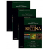 Ryan's Retina (3 Volume Set) - Charles Wilkinson, Andrew Schachat, David Hinton, K. Bailey Freund, David Sarraf, Peter Wiedemann