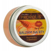 Herb extrakt HERB EXTRACT Ochranný balzam na pery Propolis 25 g