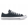 Converse Chuck Taylor All Star OX M9166C black
