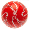 Fan shop LIVERPOOL FC Cosmos Colour