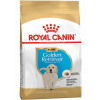 Royal Canin Golden Retriever Puppy 12 kg