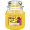 Yankee Candle Tropical Starfruit 411 g