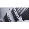 Razzor Acoustics Acoustic frame - Stratocaster 1200x600x50