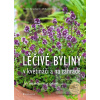 Léčivé byliny v květináč… (Heide Bergmann; Ulrike Armbruster)
