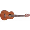 Takamine GU-S1