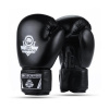 Boxerské rukavice DBX BUSHIDO ARB-Black
