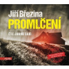 Promlčení - audiokniha