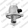 CALORSTAT by Vernet Termostat chladenia TE7331.105J