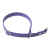 Firedog BioThane obojok Sport 19 mm 55 cm fialový
