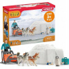 Súprava hračiek Schleich Výprava do Antarktídy, plastová, viacfarebná, 3+