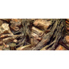 DIVERSA 3D Koreň 100x40cm