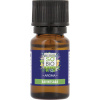 Bio éterický olej Aroma - Ravintsara