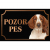 Welšský špringeršpaniel - Kovová tabuľka POZOR PES