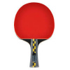 Joola raketa Carbon Pro