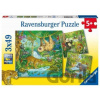 Ravensburger 051809 Zvířata v džungli 3x49 dielov