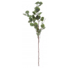 LAALU Vianočná dekorácia – vetvička eukalyptus, zelená, 93 cm