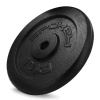 SINIS Liatinový kotúč, 29 mm, 10 kg