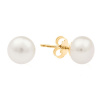 Victoria Filippi Stainless Steel Náušnice s 8 mm bílou perlou Cinzia Gold - chirurgická ocel E-YE15770/12 Zlatá Bílá