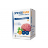 GinkgoMAX Bacopa+Lecitin DaVinci Academia 60 tabliet