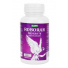 Roboran pre plazy s betaglukánom plv 100 g