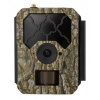 Fotopast OXE HORNET 4G