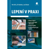 Lepení v praxi - Petr Briš, Jiří Kuběna, Jan Štrkaň