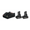 BOSCH GAL 12V-40 + 2x GBA 12V 6 Ah 1.600.A01.B20