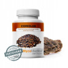 MycoMedica CORIOLUS Trúdnikovec Pestrý 500mg 90 kapsúl