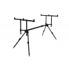 Delphin rod pod Bronx