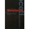 Metalurgie oceli na odlitky