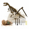 Fosílie Sada malého paleontológa T-Rex Vykopávky Dinosaurus