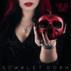 Scarlet Dorn - Blood Red Bouquet DIGI CD