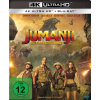Jumanji: Willkommen im Dschungel (4K UHD)