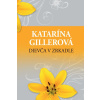 Dievča v zrkadle - Katarína Gillerová